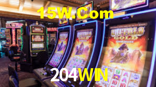 204win.com