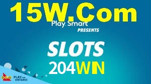 Premium Interface 204WIN